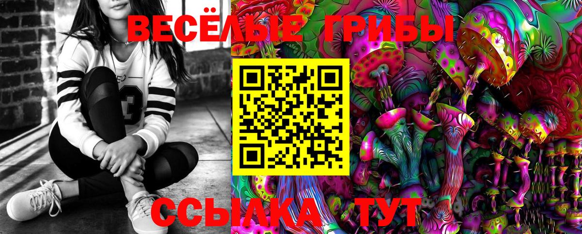 Псилоцибиновые грибы Psilocybine cubensis Жуковский